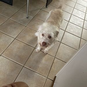 Meet your Posher, Bryanna